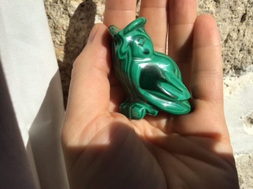 Hibou chouette malachite