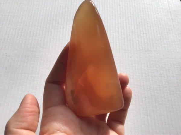 E2858FE0-19D8-4E9B-BA4C-314B4F757194