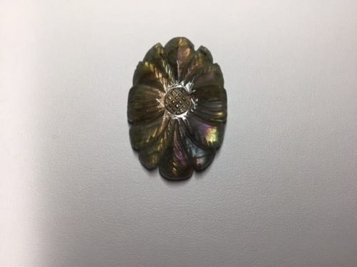 Fleur d’ automne