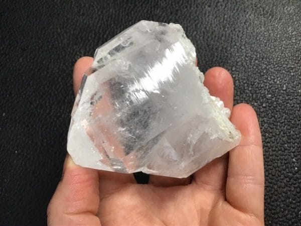 F21E399D-FA11-4119-8D0A-75C4740FEEBF