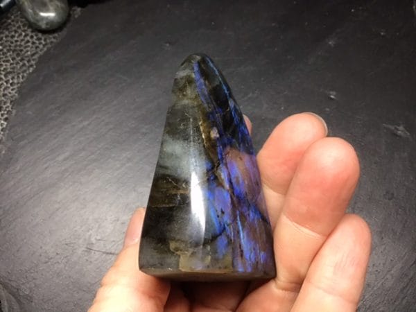 265DD3F0-6ECB-481A-8439-F23FE613A5E0