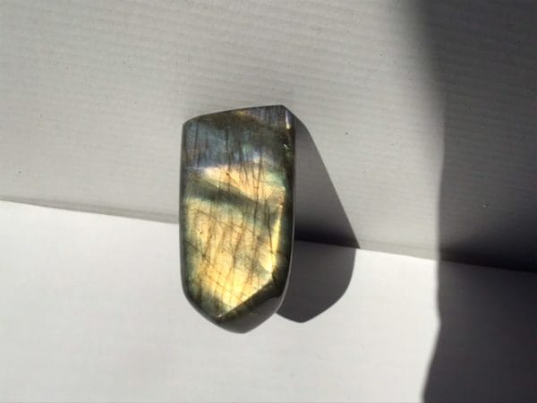 65BA6D0A-221B-449E-9B9B-2FD7A81A0927