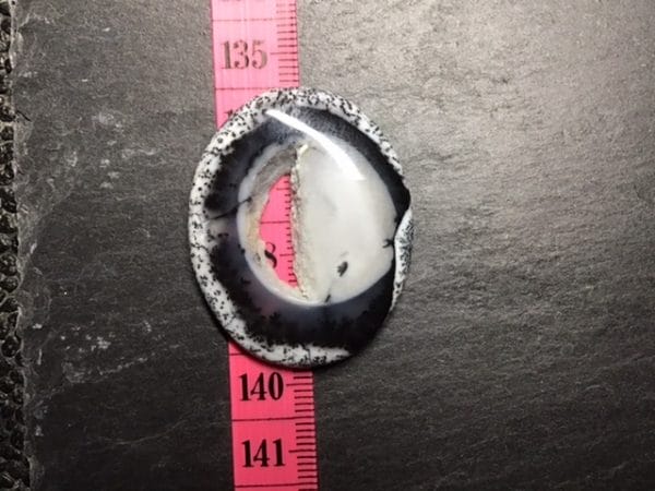 70F9CCC5-D7B0-42AC-ACF0-7FC658459881