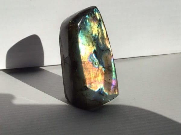 81CABDCC-CA6F-4BF6-964D-DADF274FD0A4