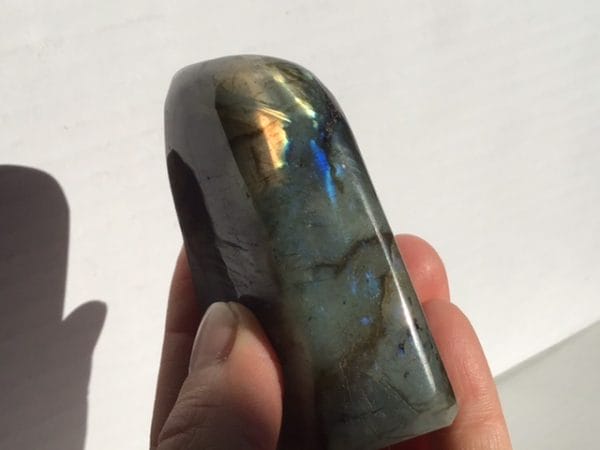 C307C8A9-2BF5-40DA-90CD-8B80AEC930CC