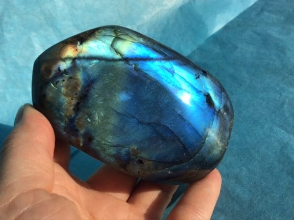 55E46728-5972-4A05-AC74-8B2E095DB71A