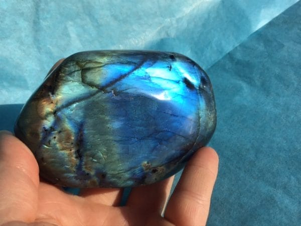 7EAFAF39-617B-4C19-BBDE-F38F29C18B4C