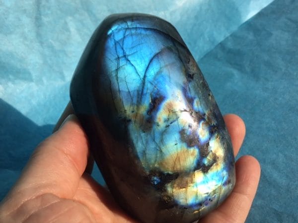 C495739D-CD20-4655-A2CD-CB060ED07B22