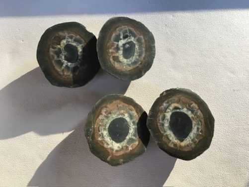 Petites paires de septaria du Maroc