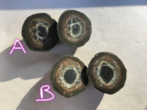 Paires de septaria