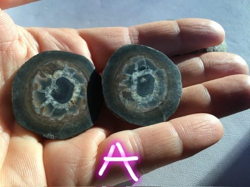Paires de septaria