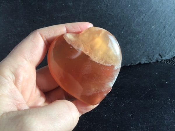 10167BDC-3172-4D7D-8187-400D69CE727A