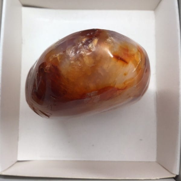 117CE740-0F73-49C7-88B7-CB4CF618F3E0