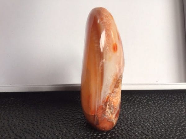 14AAF166-C43A-42BA-A1D3-CA983003B22A