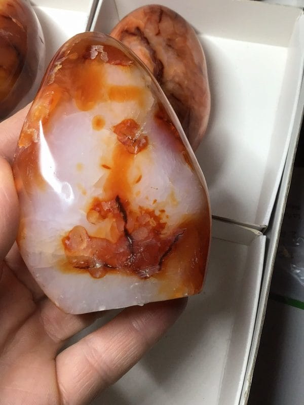 403CF96D-D0CB-44EE-A79C-7DF66EC43741