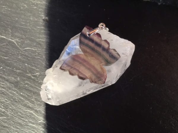 51017D17-A96B-416A-A415-650571416971