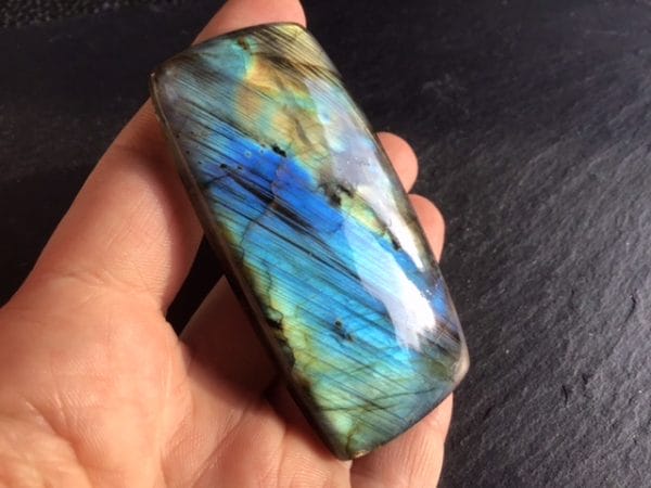 704464E1-C959-4FA9-8CDB-846C37C5BD11