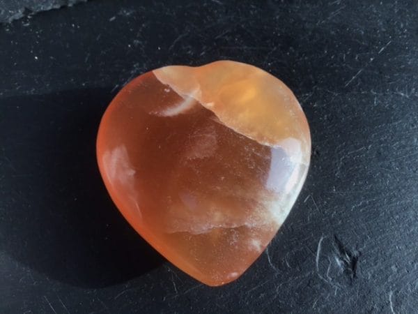 A40BF486-EC21-45B3-B5F8-5E9FBCC5BC32