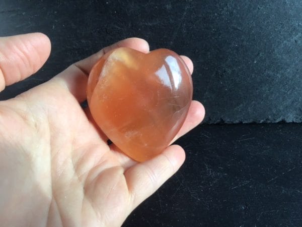 B488998F-3180-422A-918A-4E2D7BFD027E