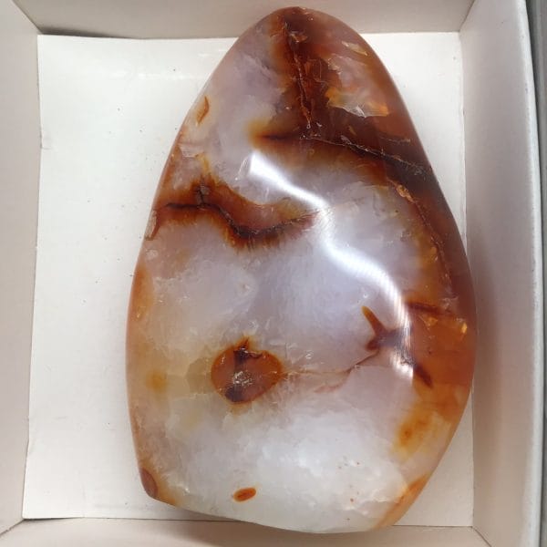 E8D0F79D-D638-4996-9229-65FE45DED1D2