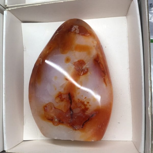 E9117405-60FF-4F7A-B2D6-C95E85381DAF