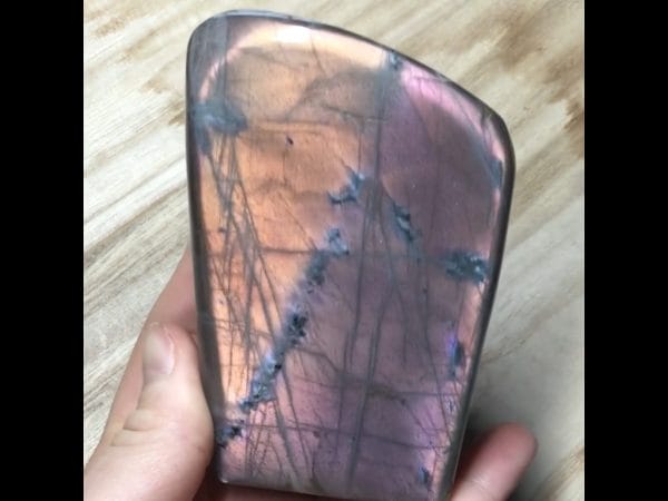 FE88D2D4-F2A3-4687-8AE6-BD5AD4C25488