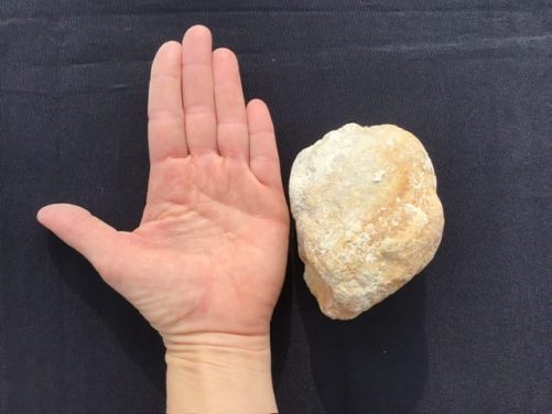 Geode de quartz barquette