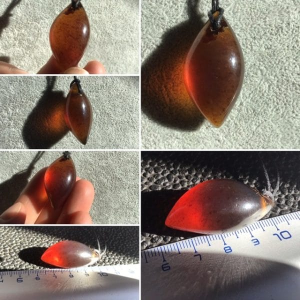 FF1E9A88-A9A9-41C5-8629-C4B068C76416