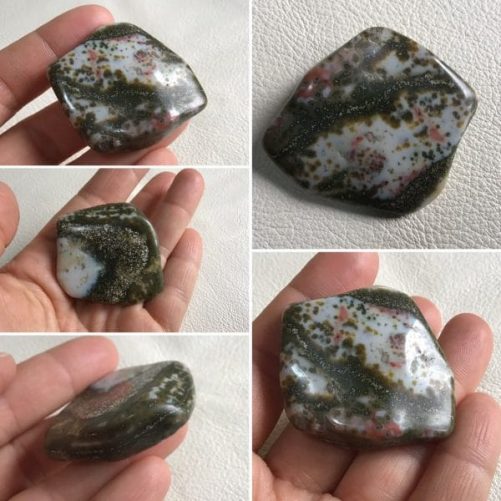 Orbiculaire de poche
