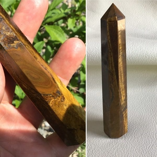 Oeil-de-Tigre-avec-oeil