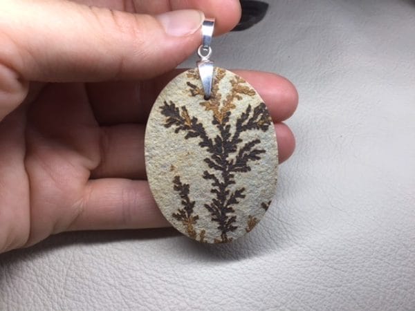 Dendrites-sur-calcaire