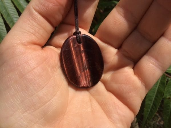 EF3EA8A1-79E7-42AD-8850-0645362C250B