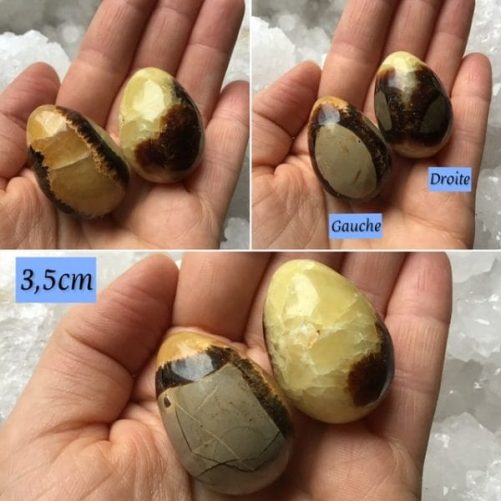 Oeufs en septaria