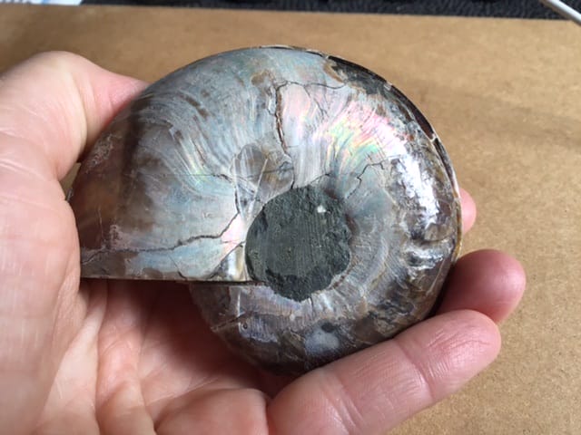 Ammonite-irisation