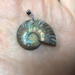 Pendentif ammonite
