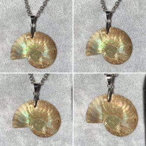 Ammonite irisée de Madagascar en pendentif