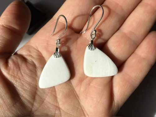 Boucles d’ oreille scolecite