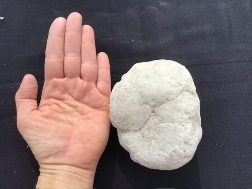 Petite géode de quartz