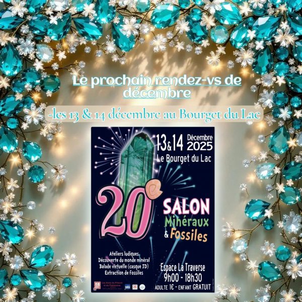 Photoroom_20251207_225400